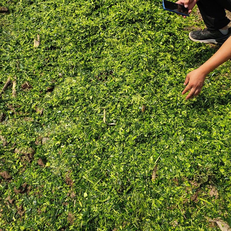 簡單構(gòu)造效果圖